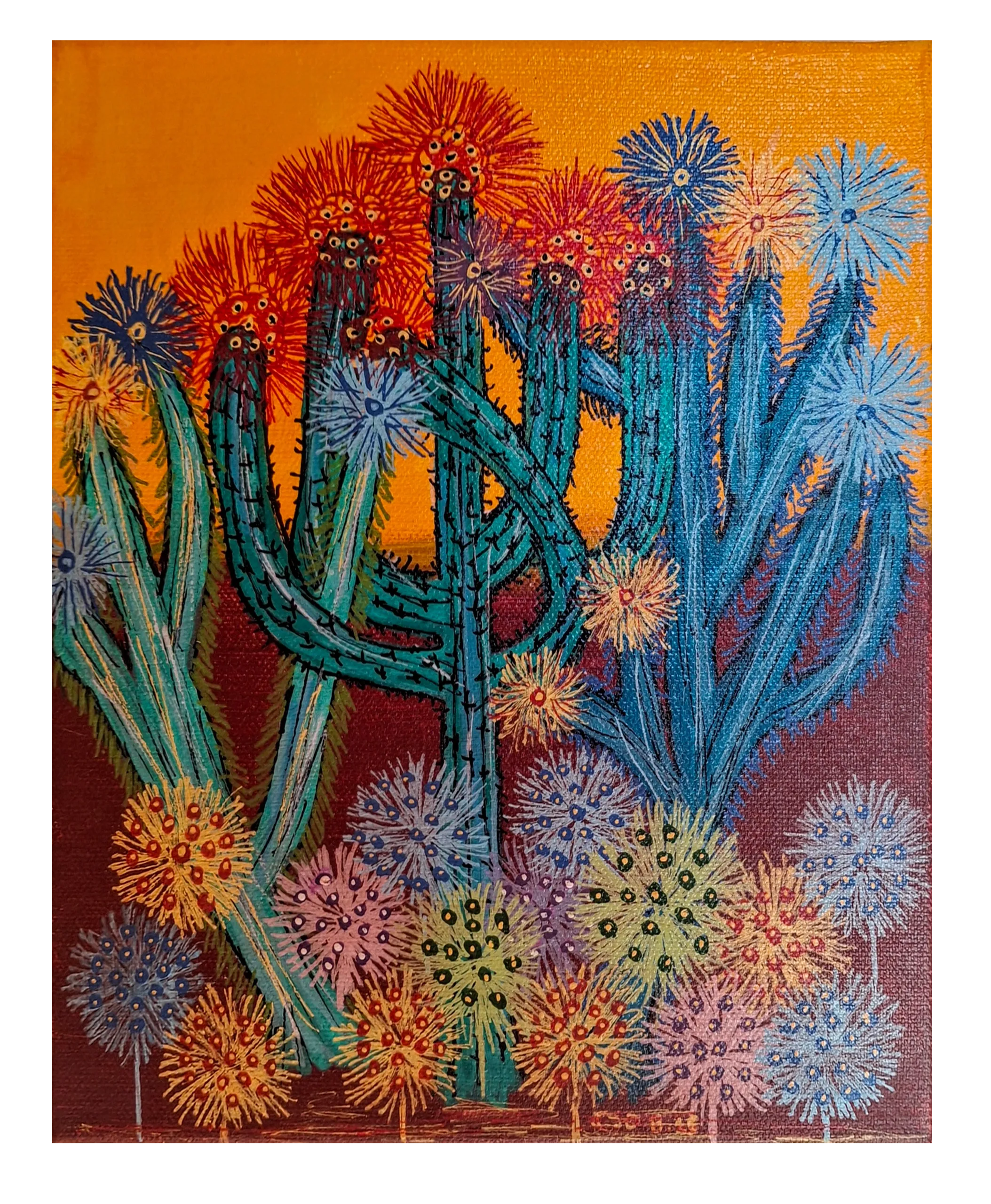 'Blooming Desert Flower'