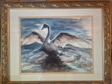 "Freedom"
