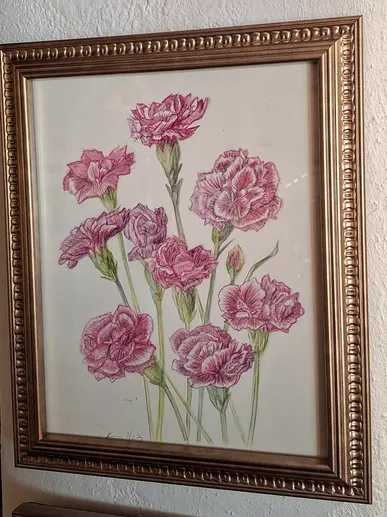 'British Carnation'
