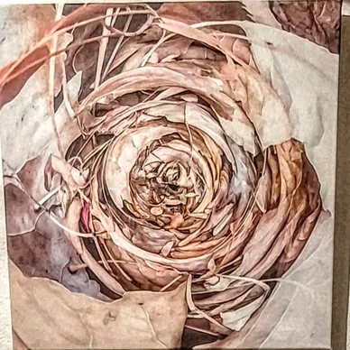 'Autumn Nest'