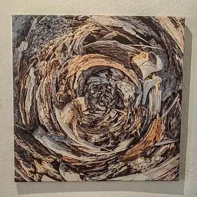 'Winter Nest'