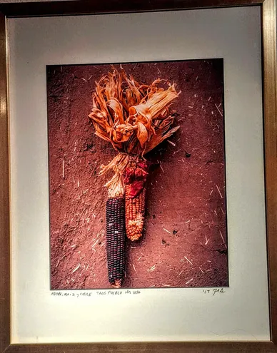 'Adobe Maize, Taos Pueblo'