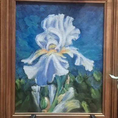 'White Iris'